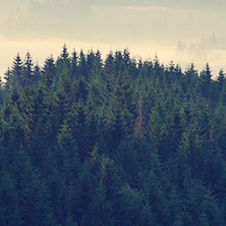 云呼网页版免费试用