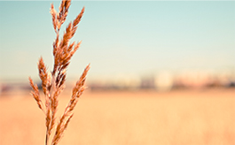 手机号验证码轰炸免费